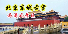 艹艹艹艹骚逼中国北京-东城古宫旅游风景区